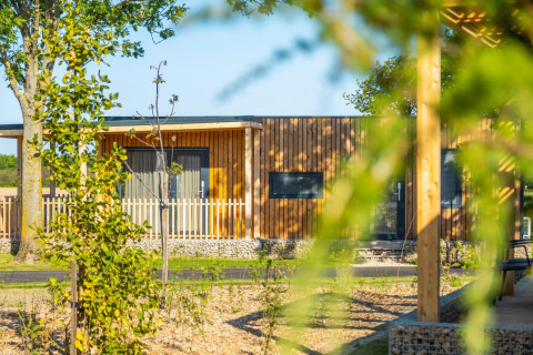 Vista de una cabaña moderna de madera en Palisade Lodge, rodeada de árboles y vegetación en un día soleado.