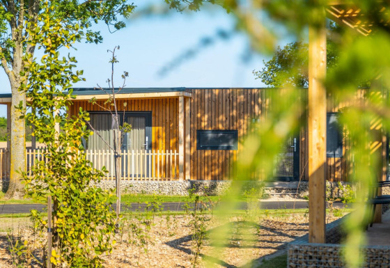 Vue d'un lodge en bois moderne à Palisade, entouré de verdure et d'arbres sous un soleil radieux.