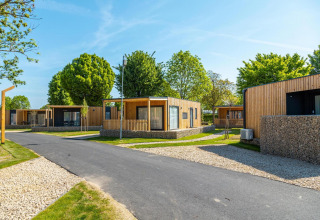 Lodges Domus modernes à Poort van Maastricht aux Pays-Bas, entourés d'arbres et de soleil éclatant.