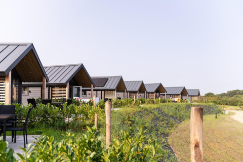 Moderne Mountain Lodge Hütten in einer Reihe, umgeben von üppigem Grün und einem klaren Himmel.