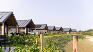Fila de cabañas modernas en Mountain Lodge, rodeadas de vegetación y senderos bajo un cielo despejado.