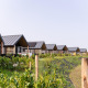 Række af moderne bjælkehytter ved Mountain Lodge, omgivet af grønne planter og naturskønne stier.