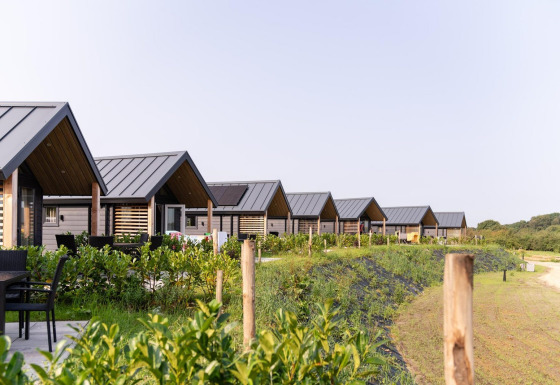 Fila de cabañas modernas en Mountain Lodge, rodeadas de vegetación y senderos bajo un cielo despejado.