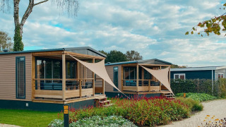 To moderne Tiny Court-lodges med overdækkede terrasser i ferieparken De Boshoek i Holland, omgivet af planter.