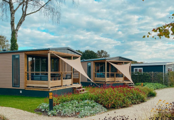 To moderne Tiny Court-lodges med overdækkede terrasser i ferieparken De Boshoek i Holland, omgivet af planter.