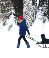 Un enfant tire un autre enfant sur une luge à travers un paysage d'hiver enneigé et arboré.