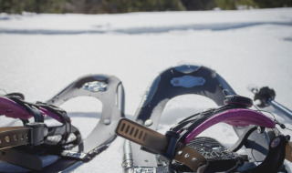 Gros plan sur des raquettes à neige sur la neige, montagnes et arbres, dans un parc de vacances glamping.