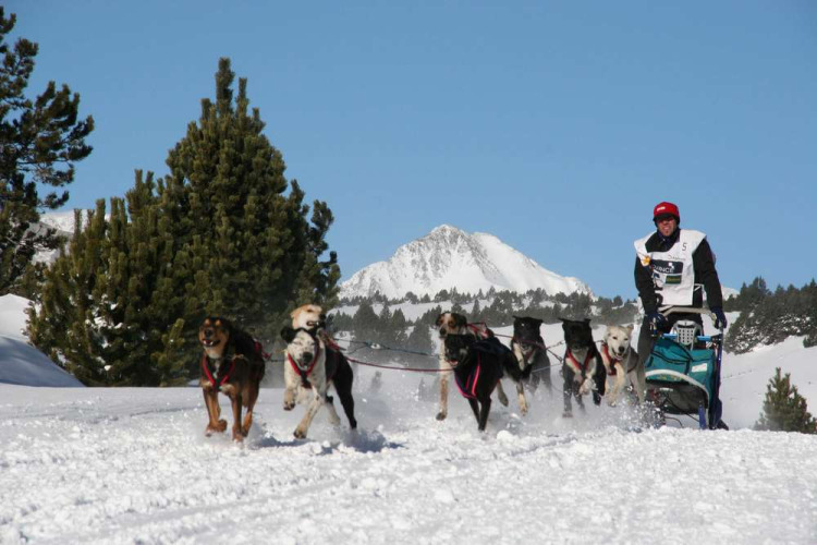 Corsa di slitte trainate da cani a Les Chalets Huttopia de Font-Romeu, Occitanie, Francia, tra le montagne.