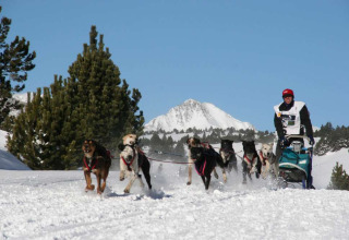 Corsa di slitte trainate da cani a Les Chalets Huttopia de Font-Romeu, Occitanie, Francia, tra le montagne.