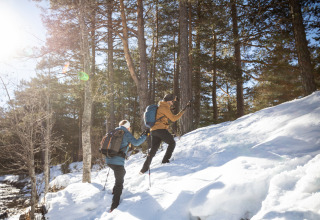 Two hikers walk up a snowy forest slope at Les Chalets Huttopia de Vallouise holiday park in France.