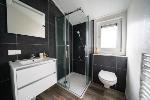 Modern bathroom in Hackfort lodge at Vakantiepark Aan de Maas with shower, sink, toilet, and window.