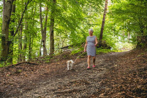 Donna anziana che passeggia con il suo piccolo cane su un sentiero nel bosco vicino a Stuga 2 al Wörthersee, Austria.