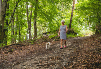 Ältere Frau spaziert mit kleinem Hund auf einem Waldweg bei Stuga 2 am Wörthersee in Österreich.