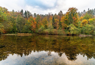 Bosque otoñal reflejado en estanque tranquilo junto a la tiny house Tractor Cabin en Wörthersee, Austria.