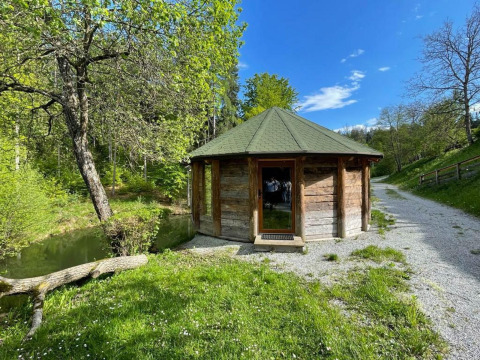 Pequeña casa del árbol junto a un sendero de grava, rodeada de naturaleza y árboles verdes bajo el sol.