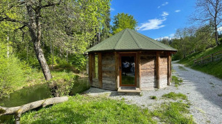 Pequeña casa del árbol junto a un sendero de grava, rodeada de naturaleza y árboles verdes bajo el sol.