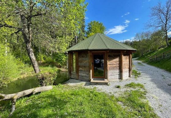 Pequeña casa del árbol junto a un sendero de grava, rodeada de naturaleza y árboles verdes bajo el sol.