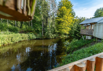 Udsigt over en sø og skov fra en træhytte ved Wörthersee i Østrig, med sollys gennem trætoppene.