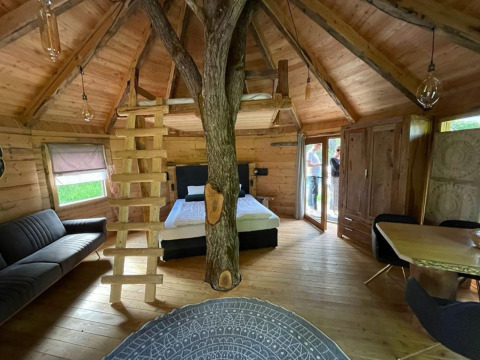 Interior de la casa del árbol en Wörthersee, Austria, con tronco, cama, sofá y decoración de madera.