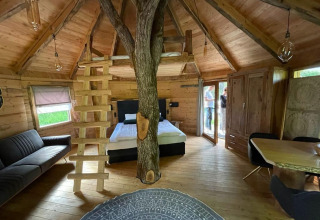 Interior de la casa del árbol en Wörthersee, Austria, con tronco, cama, sofá y decoración de madera.