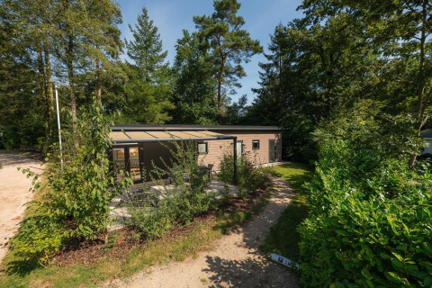 Forest Lodge von oben, umgeben von hohen Bäumen und Grün, mit Terrasse und einem geschützten Pfad.