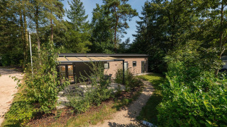Forest Lodge set fra oven, omgivet af træer og grønne planter med sollys, terrasse og grussti foran.