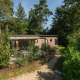 Forest Lodge set fra oven, omgivet af træer og grønne planter med sollys, terrasse og grussti foran.