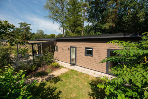 Forest Lodge moderna al Veluwepark de Bosgraaf nei Paesi Bassi, circondata da verde e alberi alti.