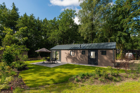Cabaña moderna en Veluwepark de Bosgraaf, Países Bajos, rodeada de jardín, terraza y un bosque frondoso.