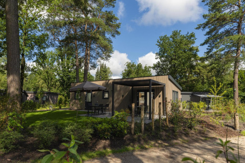 Außenansicht der Loevestein Comfort Lodge, umgeben von Bäumen und Natur unter blauem Himmel.