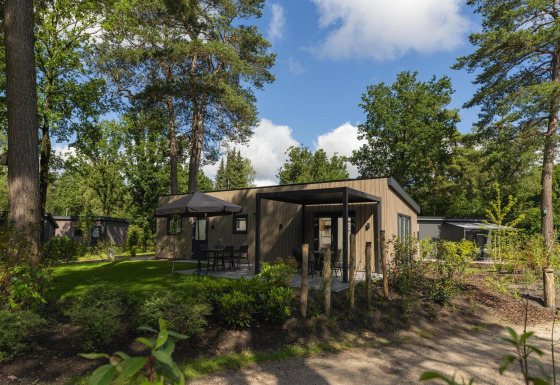Buitenaanzicht van de Loevestein Comfort lodge, omringd door bomen en natuur onder een blauwe hemel.