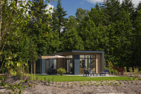 Moderne Lodge mit großen Fenstern und Terrasse im Grünen, umgeben von Bäumen und Sitzmöbeln im Freien.