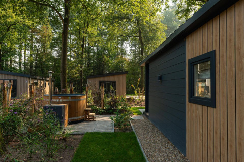 Cabañas Tiny Loft con jacuzzi exterior en Veluwepark de Bosgraaf, rodeadas de árboles en los Países Bajos.