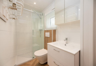Baño moderno con ducha, inodoro y lavabo en Tiny Loft con jacuzzi en Veluwepark de Bosgraaf, Países Bajos.
