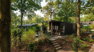 Et moderne Sand Lodge Comfort i en frodig skov med store vinduer og udendørs terrasse omgivet af træer.