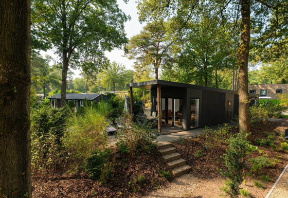 Et moderne Sand Lodge Comfort i en frodig skov med store vinduer og udendørs terrasse omgivet af træer.