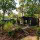 Et moderne Sand Lodge Comfort i en frodig skov med store vinduer og udendørs terrasse omgivet af træer.