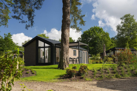 Velthorst Comfort lodge in Veluwepark de Bosgraaf, Nederland, omgeven door groen en bossen.
