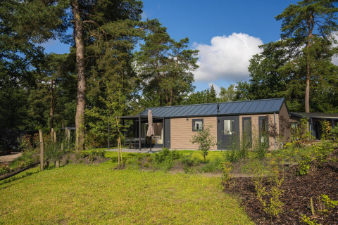 Moderne Lodge mit Terrasse, umgeben von Bäumen und Rasen, an einem sonnigen Tag im Grünen.