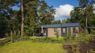 Modern lodge house with a patio, set among tall trees and greenery under a bright blue sky.