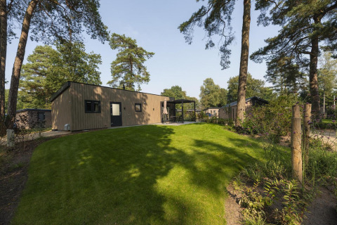 Foto einer modernen Lodge mit Rasen und Bäumen, idyllisch gelegen in einem ruhigen Waldgebiet.
