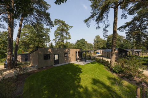 Photo of a modern lodge surrounded by tall trees and a lush lawn on a sunny day with blue skies.