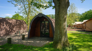 Photo d'une cabane pod en bois sur un camping, entourée d'arbres et d'autres hébergements similaires.