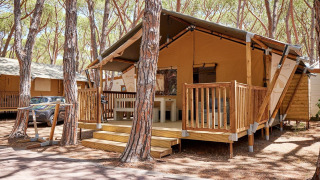 Glamping-verblijf Villatent Outback tussen de dennen, met houten terras en gezellige tent