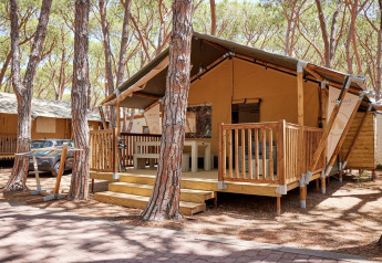 Glamping accommodatie Villatent Outback te midden van pijnbomen met houten veranda en tentdoek