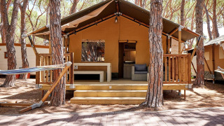 Safari tent Villatent Outback tussen de pijnbomen, met houten terras, hangmat en gezellige zithoek buiten.