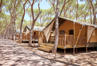 Safari-telte ved Villatent Outback på Camping Village Baia Blu La Tortuga, omgivet af fyrretræer i Italien.
