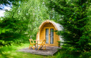 Petite cabane en bois avec terrasse et chaises de jardin entourée de verdure à Netl Camping Kallumaan, Pays-Bas.