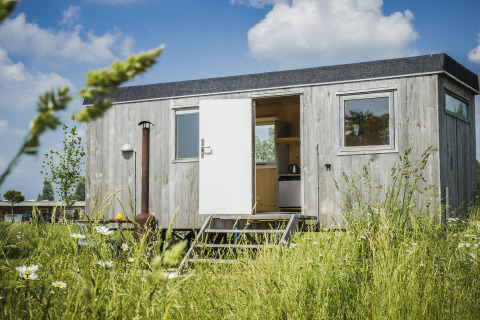 En lille træhytte ved navn Pipowagen på Netl Camping Kallumaan i Holland, omgivet af vilde blomster.