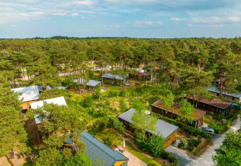 Luftaufnahme von Glamping-Hütten mitten im Wald, umgeben von Bäumen und Natur für entspannte Auszeit.
